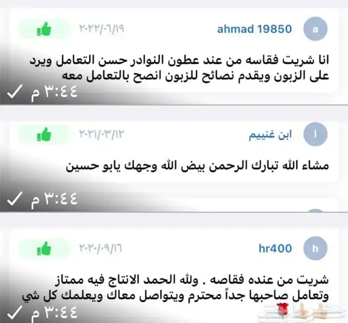 فقاسات الياسريه 10