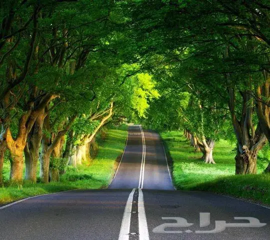 توصيل من الاحساء إلى الرياض 1