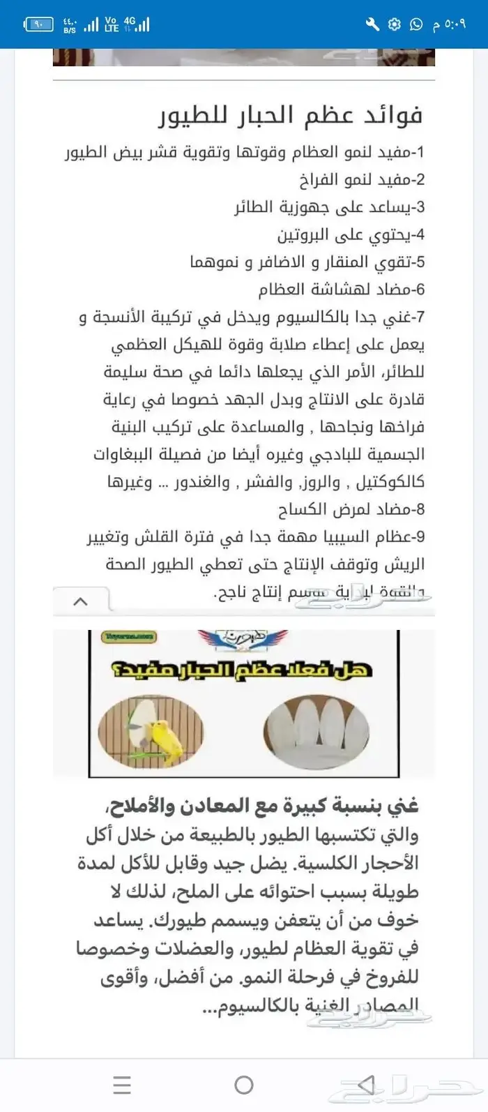 عظم حبار كالسيوم 5