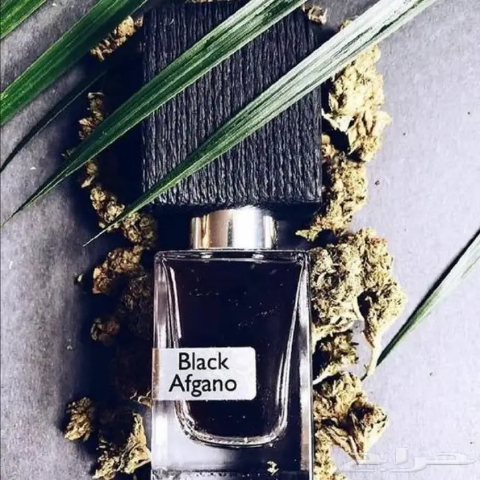 عطر بلاك افغانو 500 ريال 2