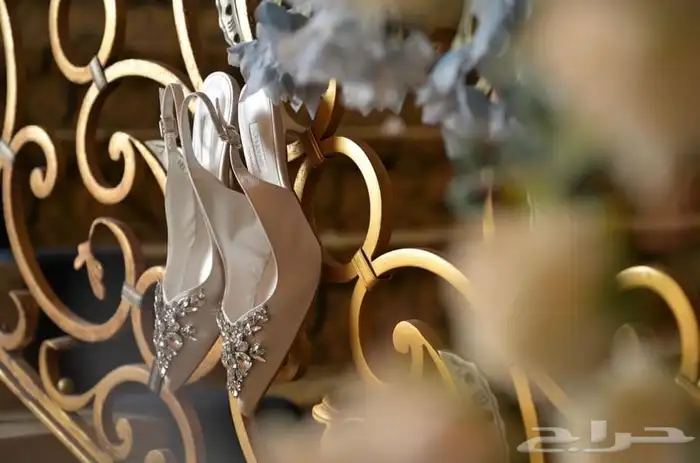 مصورة 8