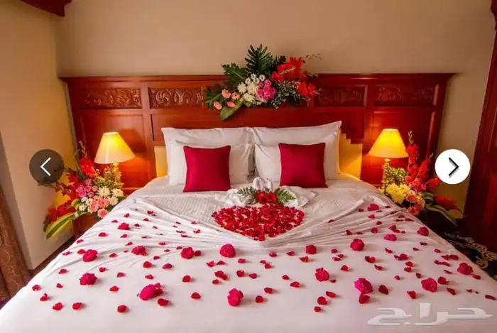 تجهيز فنادق عرسان وسيارات وشبكات 0