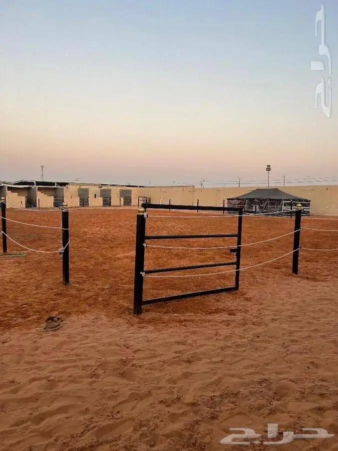 مربط القدية فرع المزاحمية ايواء وتدريب الفروسية 5
