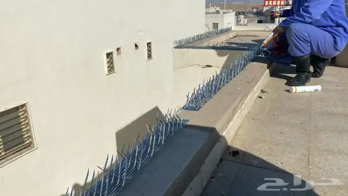 البيت النظيف لصيانة المنازل وتنظيفها 52