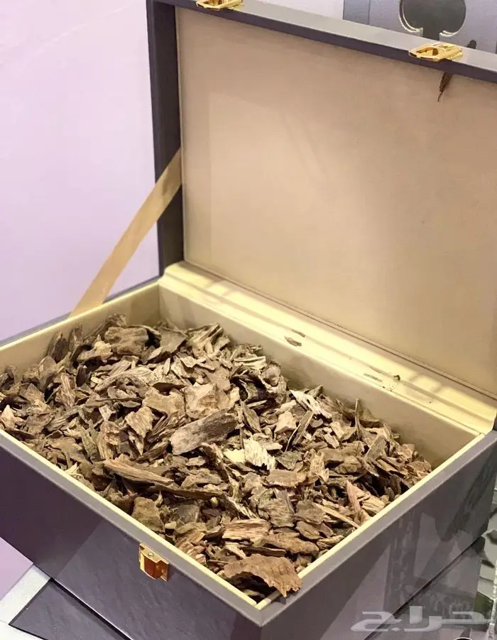 عود سيلاني غابات ادم سوبر فخم جدا 1