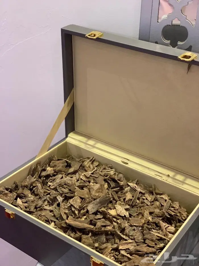 عود سيلاني غابات ادم سوبر فخم جدا 0