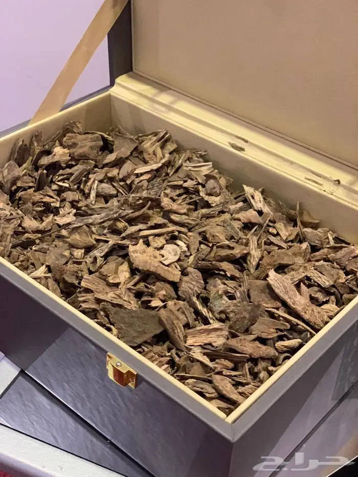 عود سيلاني غابات ادم سوبر فخم جدا 3