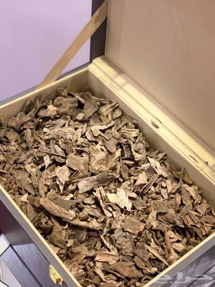 عود سيلاني غابات ادم سوبر فخم جدا 4