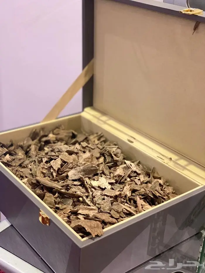 عود سيلاني غابات ادم سوبر فخم جدا 5