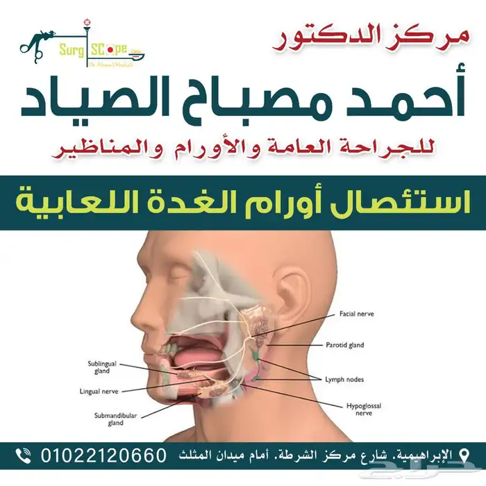 مصمم جرافيك 32
