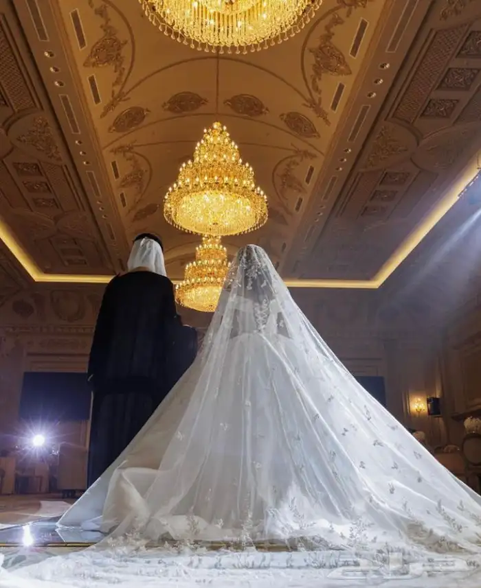 مصورة عرايس 1