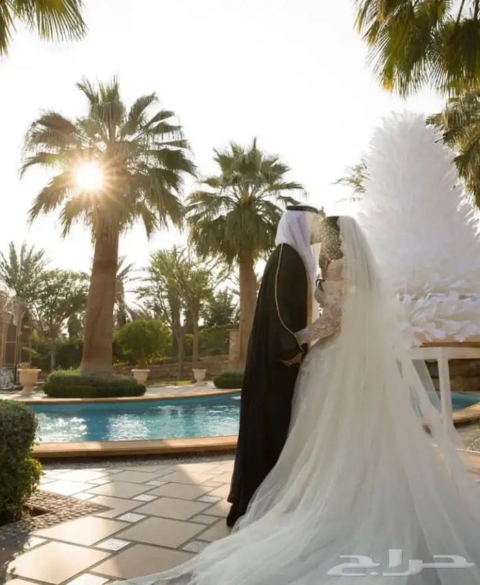 مصورة عرايس 11