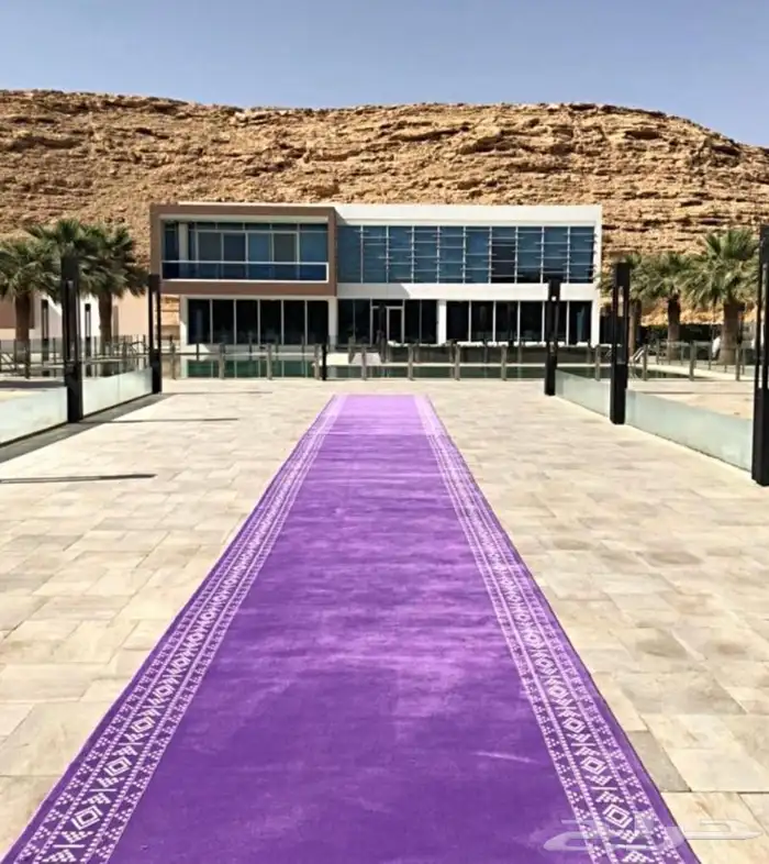 تاجير سجاد بنفسجي 0