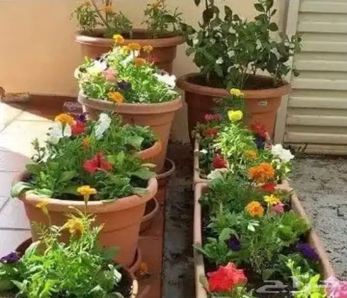 احواض زرع مراكن جوده عليه بضمان 46