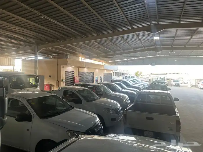 ايسوزو مجموعه كبيره 8