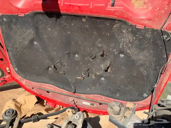قطع خيار دوج اذرعه وعضلات فلننجات خلفيه وكمر خلفي 26