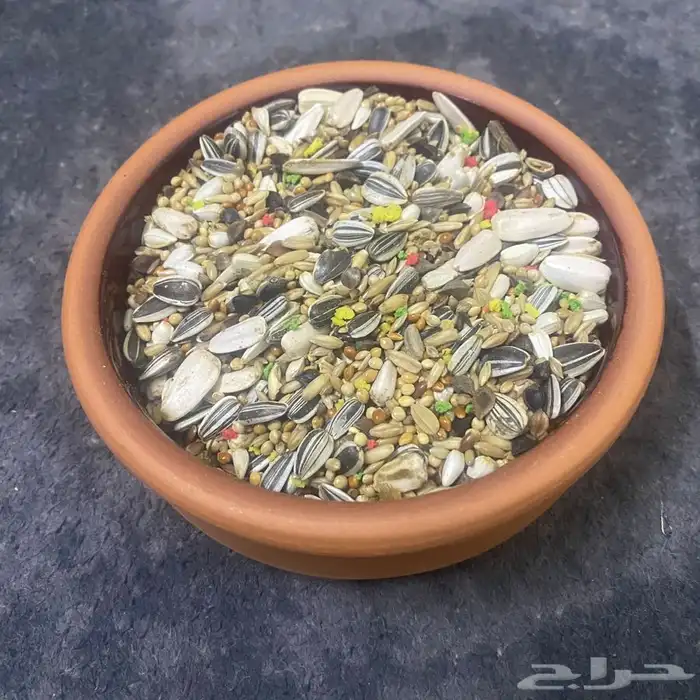 صحون للطيور 4