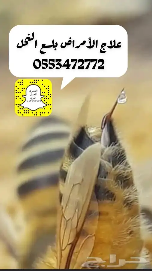 لسع نحل للعلاج 0