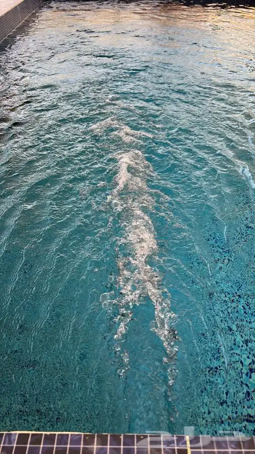 شاليه القريات الشمال الرديفه جماجم الناصفةمسابح وخيول مجانيه 2