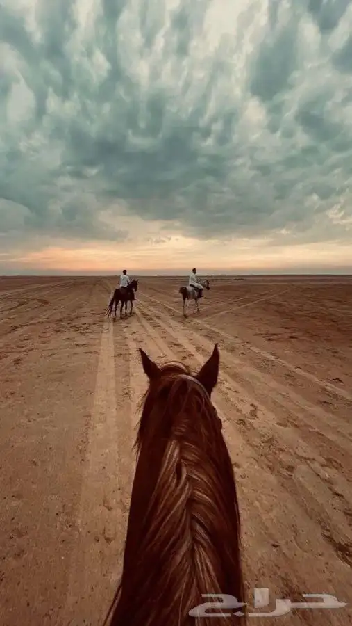 رحلات خيل وبحر 1