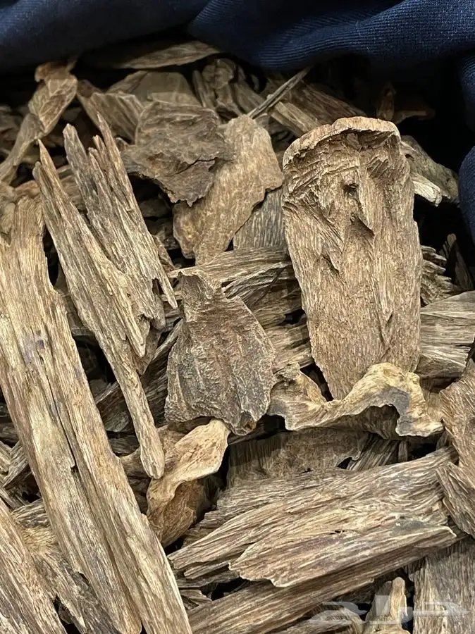 عود طبيعي كلمنتان مالينو قديم فاااخر 7