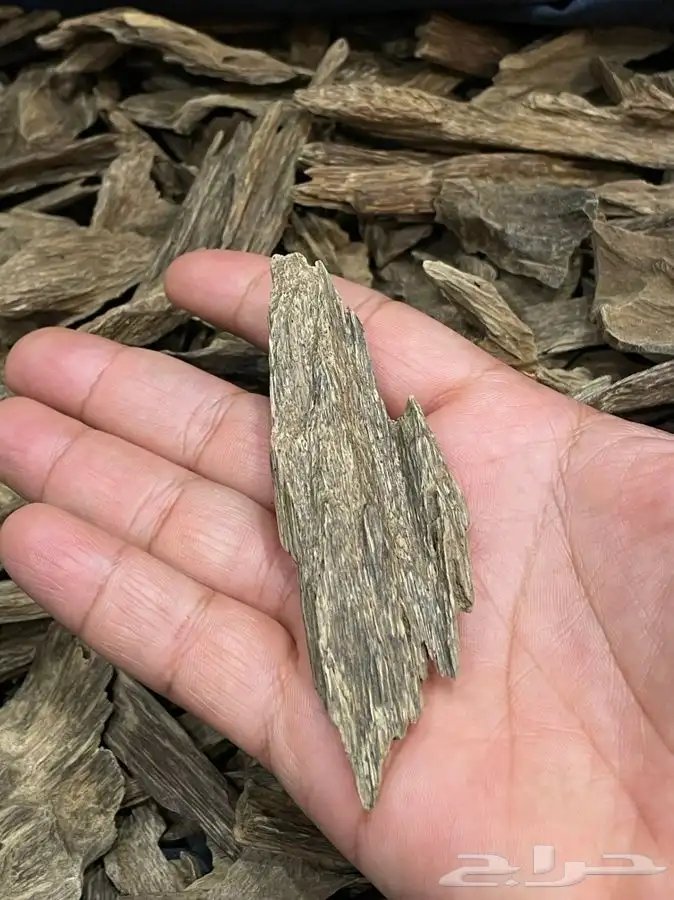 عود طبيعي كلمنتان مالينو قديم فاااخر 6