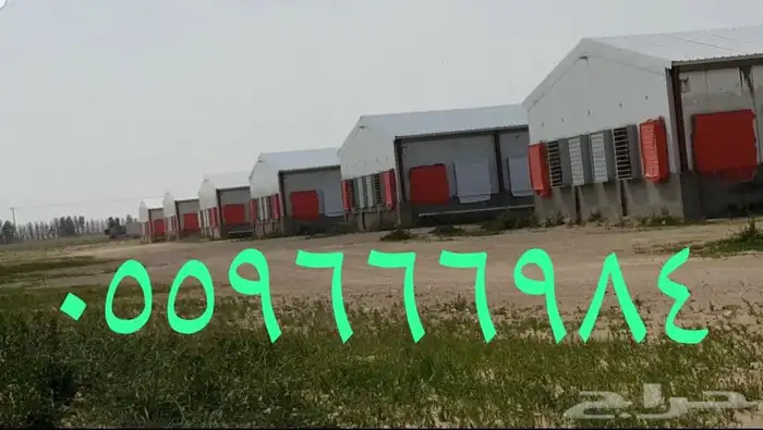 مقاول مستودعات 1