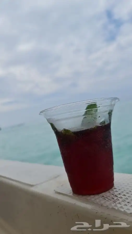 قارب رحلات بحرية نزهه - صيد - سباحة - مرسى الرايس 6