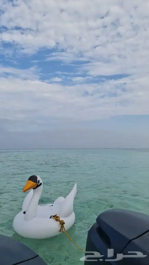 قارب رحلات بحرية نزهه - صيد - سباحة - مرسى الرايس 7