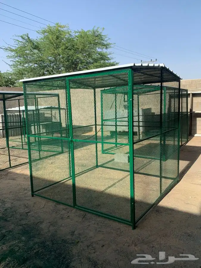 شبوك حمام دجاج طيور زينة ارانب 1