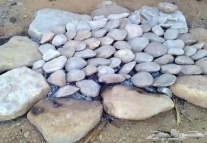 حجر مظبي مرخ سلع حنيذ مرو للسمن 3