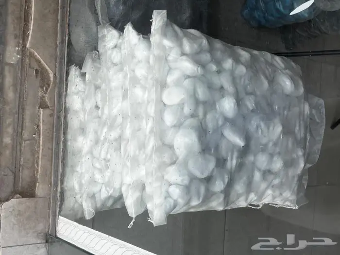 حجر مظبي مرخ سلع حنيذ مرو للسمن 16