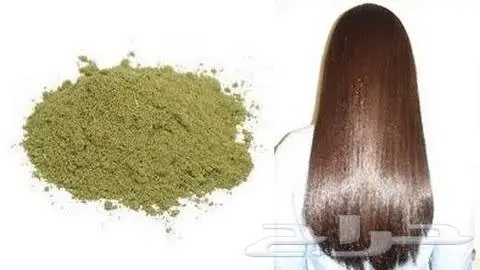 مسحوق ورق السدر الحضرمي 500 جم 5