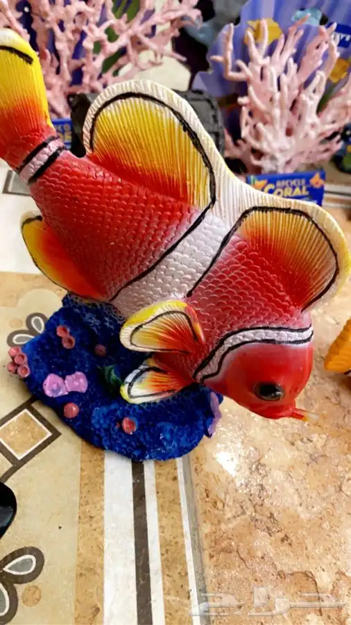 زبنة احواض سمك زبنه 2