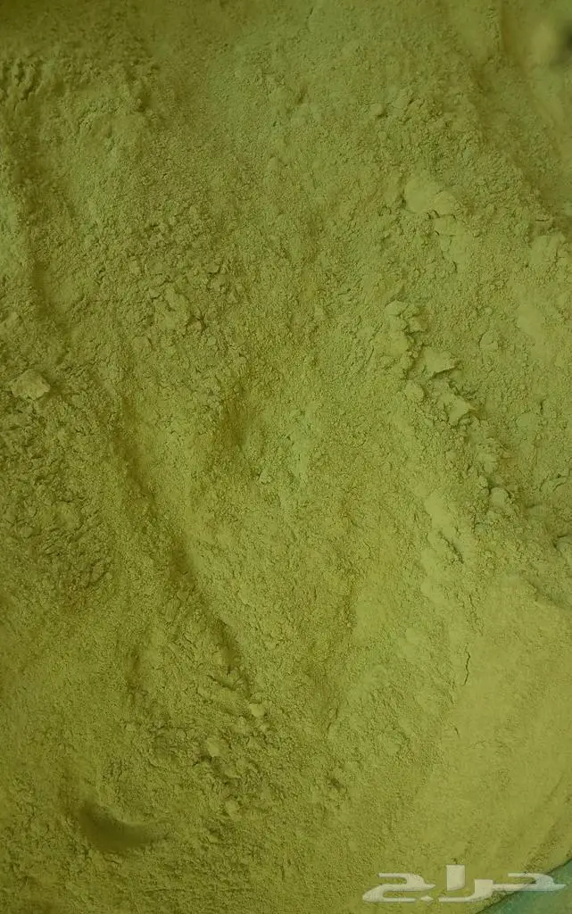 مسحوق ورق السدر الحضرمي 500 جم 3