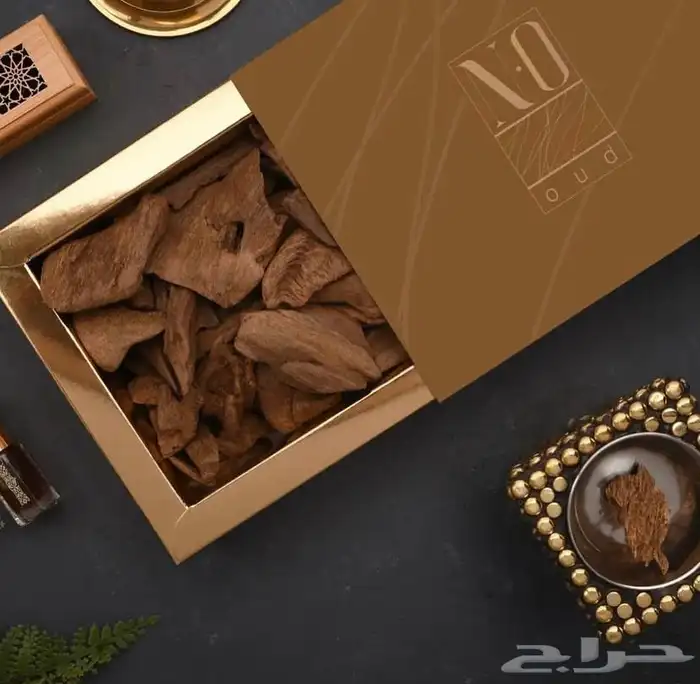 تصميم هوية تجارية Branding and Graphic Design 26