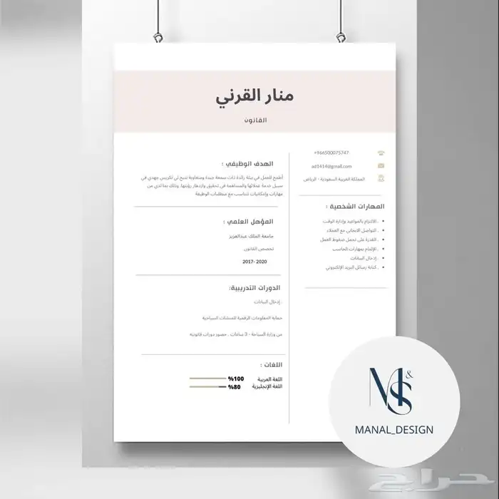 سيرة ذاتية احترافية 1