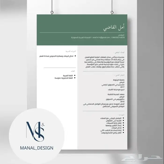 سيرة ذاتية احترافية 0