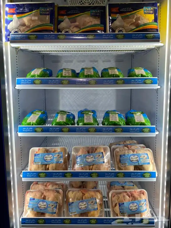 حمام فرنسي - سمان - بط دجاج زغاليل 1