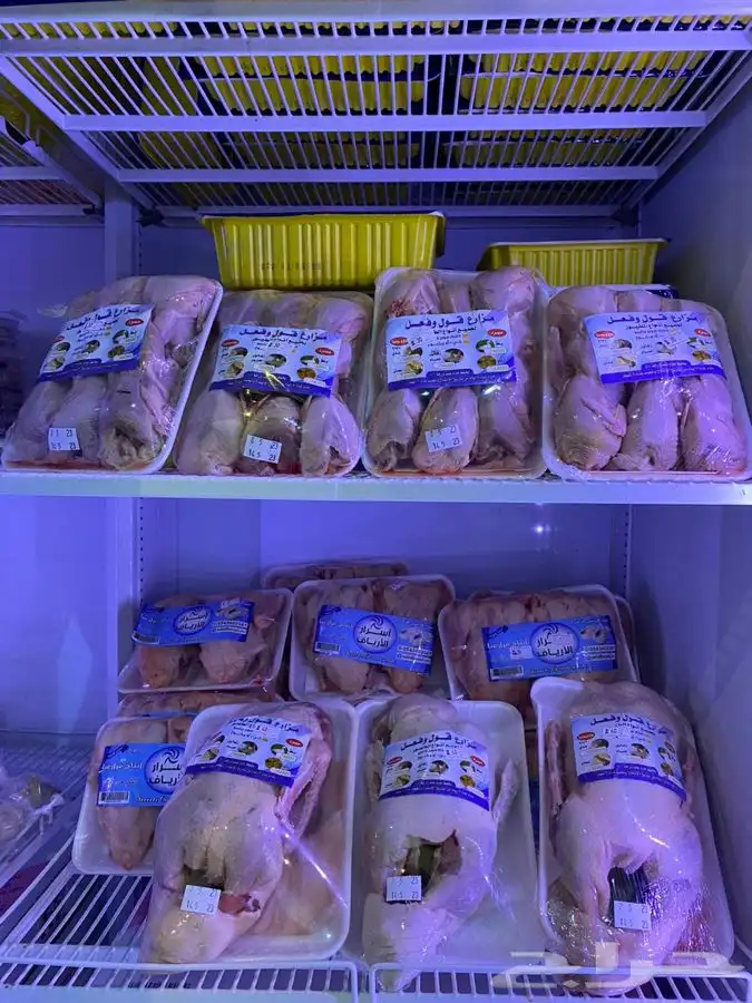 حمام فرنسي - سمان - بط دجاج زغاليل 0