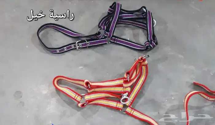 مستلزمات الخيل 7