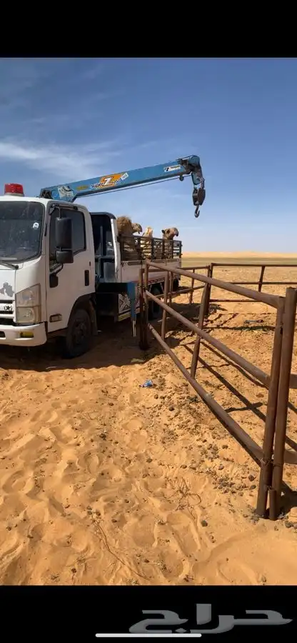 ماشي من الرياض لبريده لنقل 0