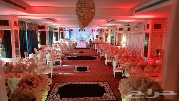 موسسة السهم المضيئ للفعاليات والايفنتات وعروض الشو فاير 65