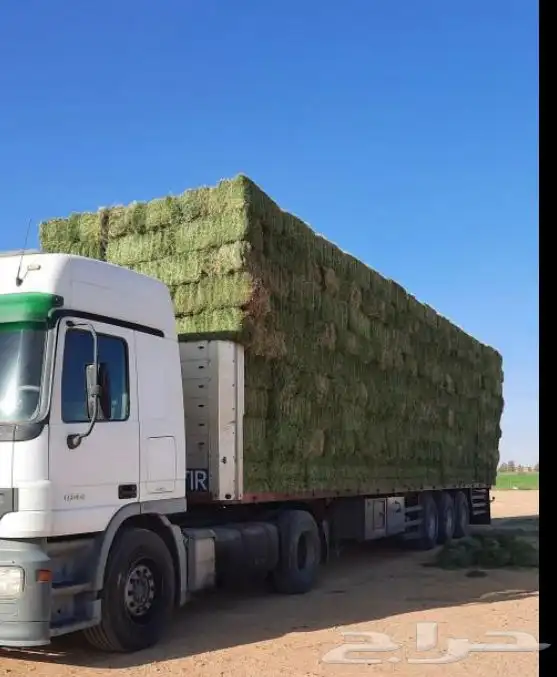 تريله شاحنات لنقل البرسيم 0