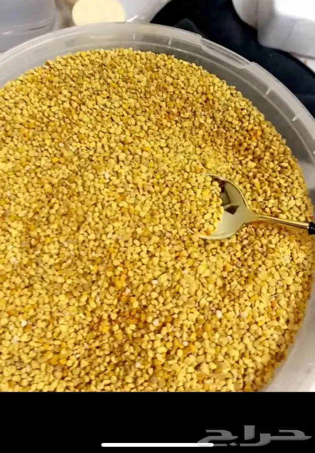حبوب لقاح النحل الطبيعي السعودية 0