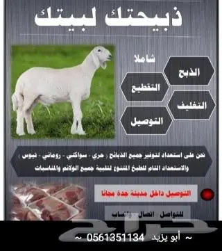 طبخ لباب بيتك وذبايح ثلاجة مع التغليف 9