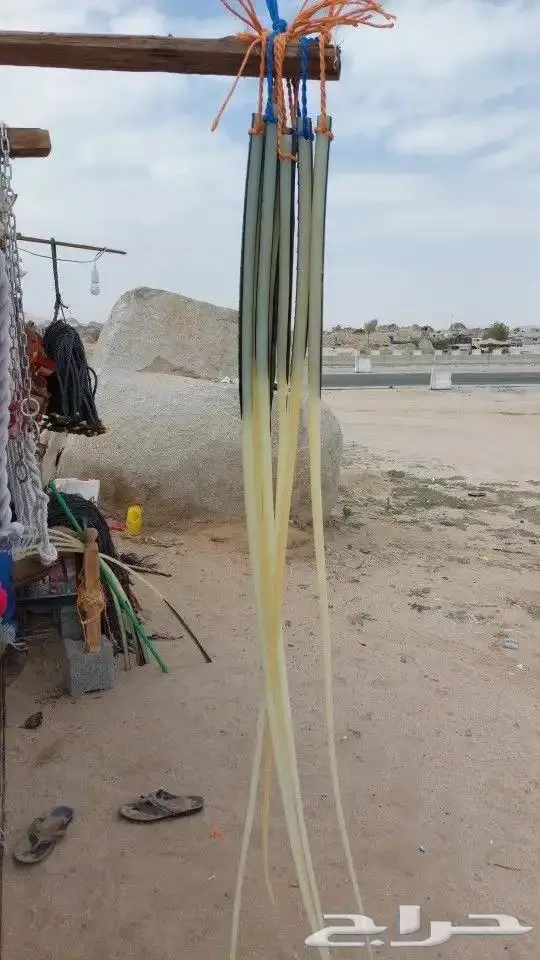 مستلزمات الأبل بجميع انواعها 9