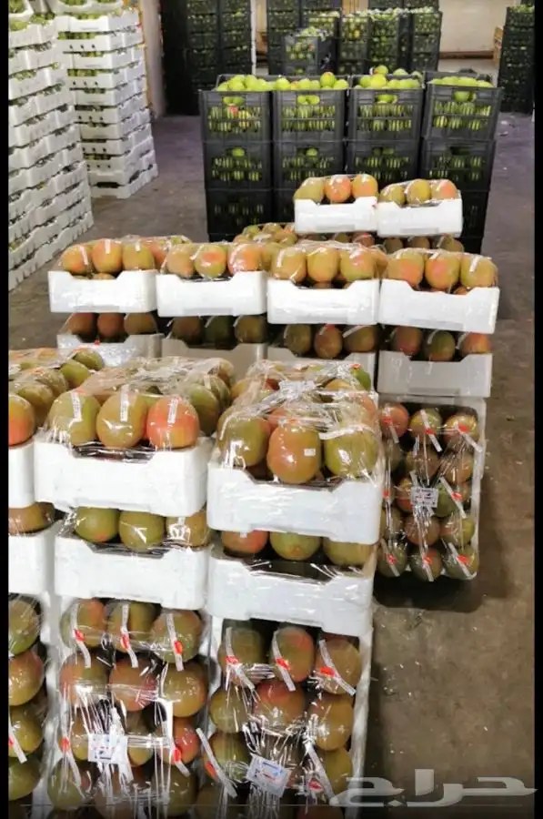 خضار وفواكه يوميا محلي ومستورد 7