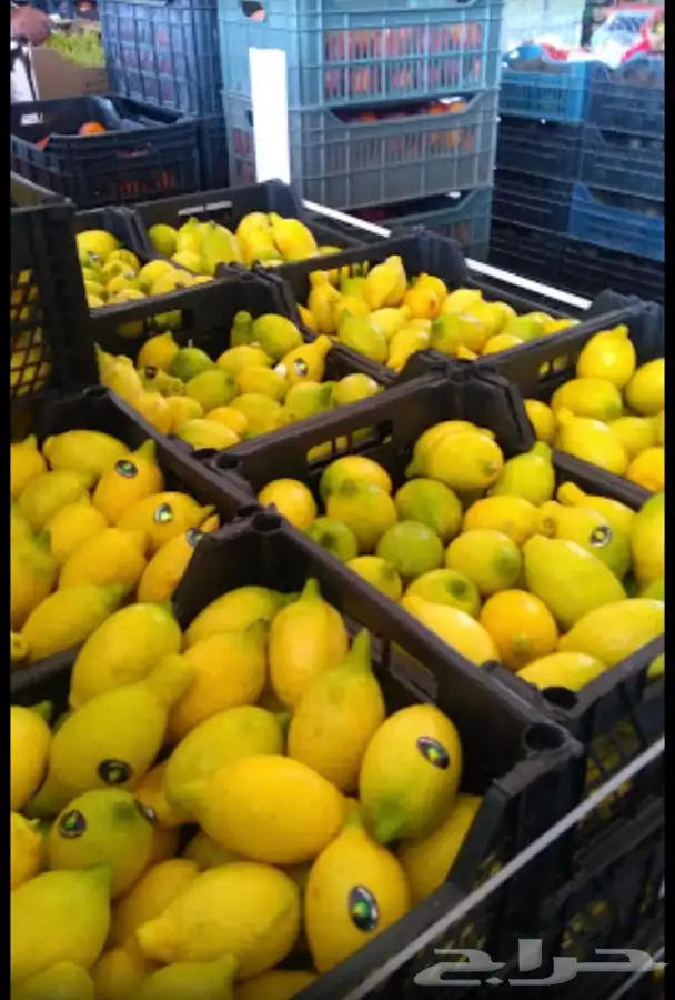 خضار وفواكه يوميا محلي ومستورد 3