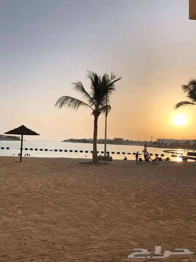 شاليه الفان بيتش شاليه المرح للايجار اليومي والاسبوعي وشهري 3